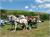 falunap06 064